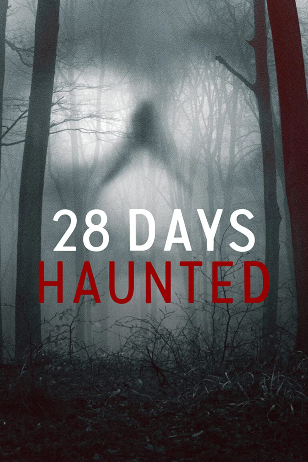 Xem phim 28 Ngày Ma Ám - 28 Days Haunted