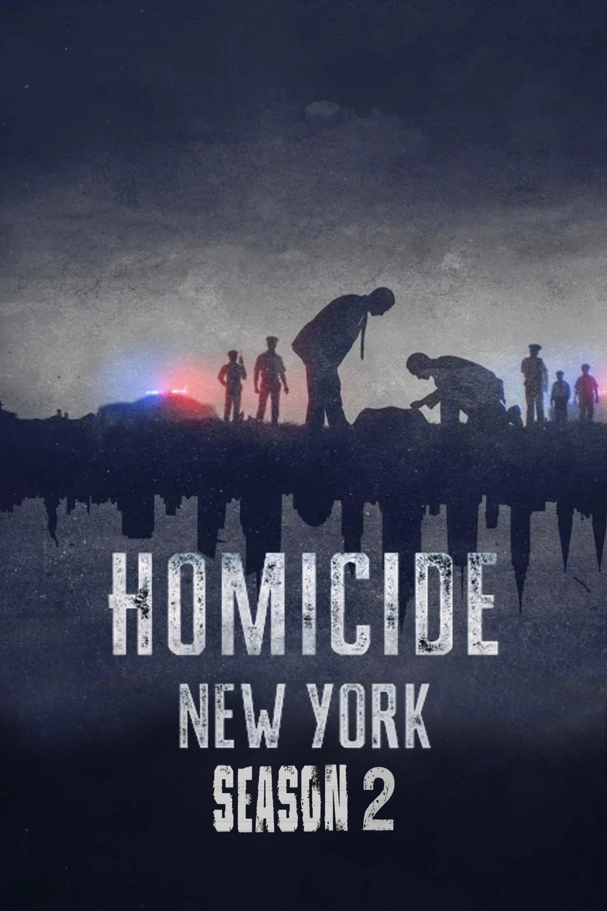 Xem phim Án Mạng: New York (Phần 2) - Homicide: New York (Season 2)