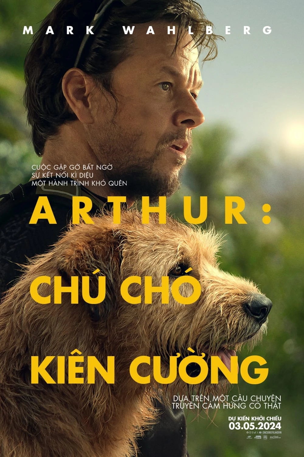 Xem phim Arthur: Chú Chó Kiên Cường - Arthur the King