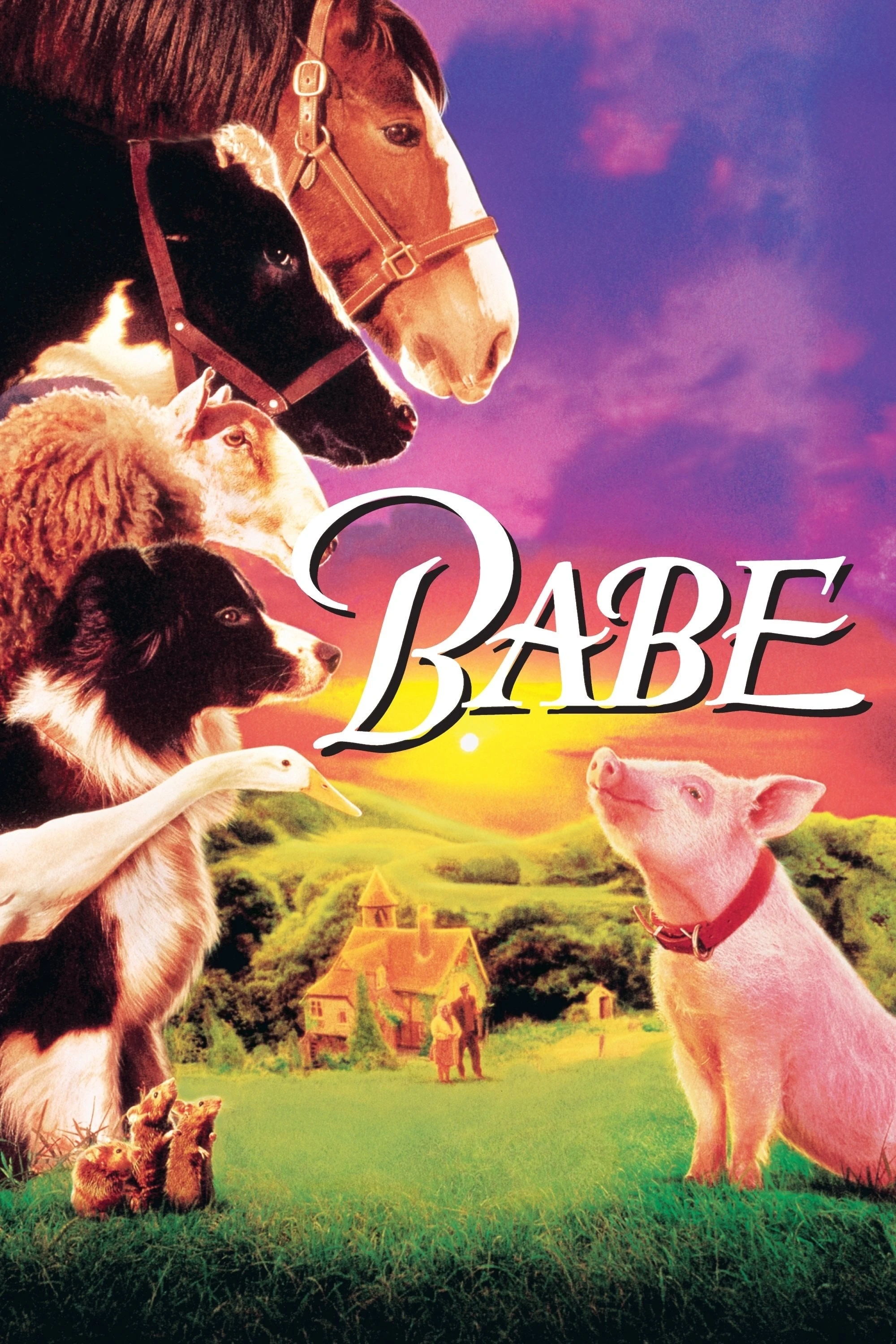 Xem phim Babe: Chú Heo Chăn Cừu - Babe
