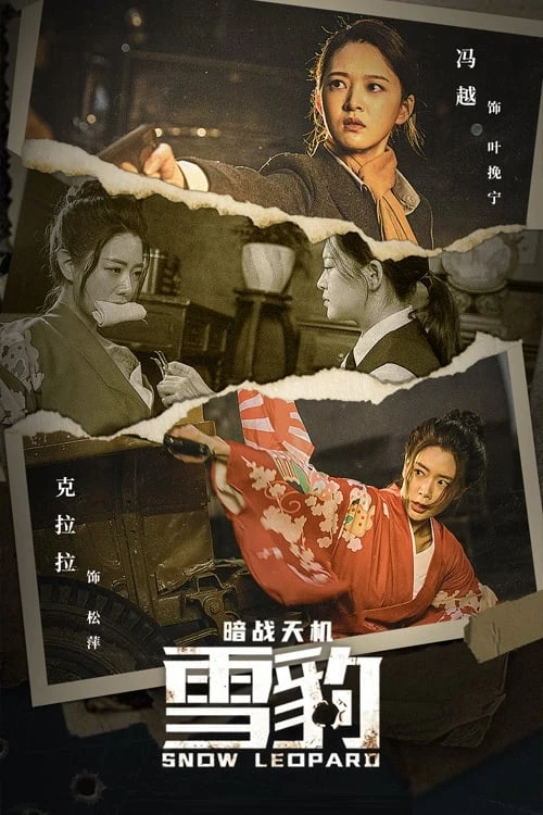Xem phim Báo Tuyết : Ám Chiến Thiên Cơ - Snow Leopard Secret War