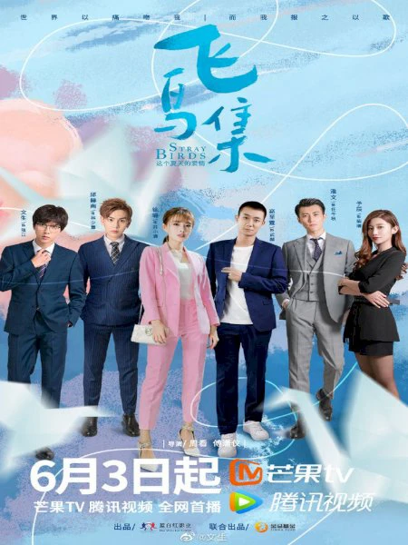 Xem phim Bầy Chim Lạc - Stray Birds