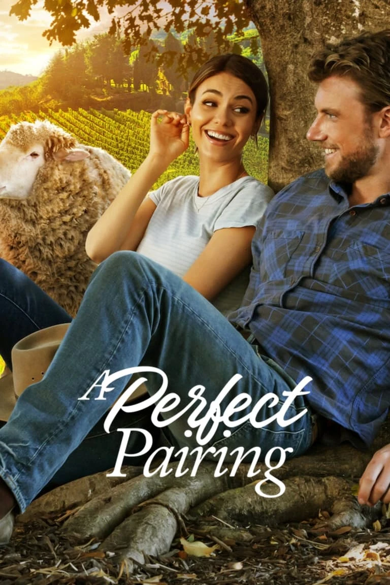 Xem phim Bộ Đôi Hoàn Mỹ - A Perfect Pairing