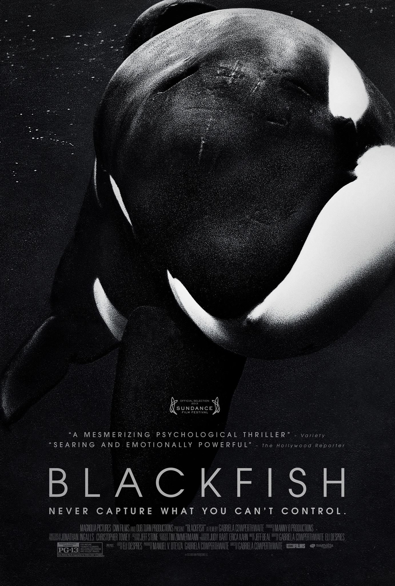 Xem phim Cá Đen - Blackfish