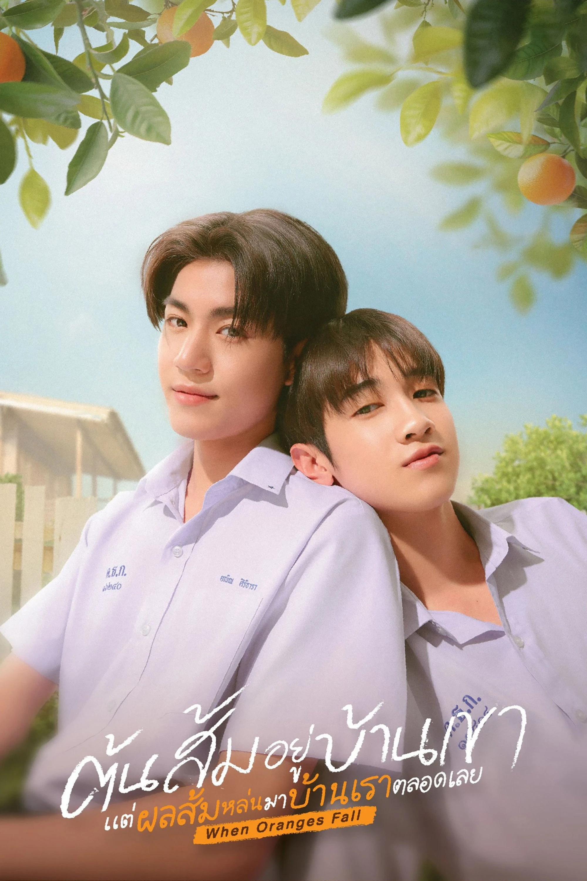 Xem phim Cây cam ở nhà cậu ấy nhưng quả cam luôn rơi sang nhà tôi - When Oranges Fall