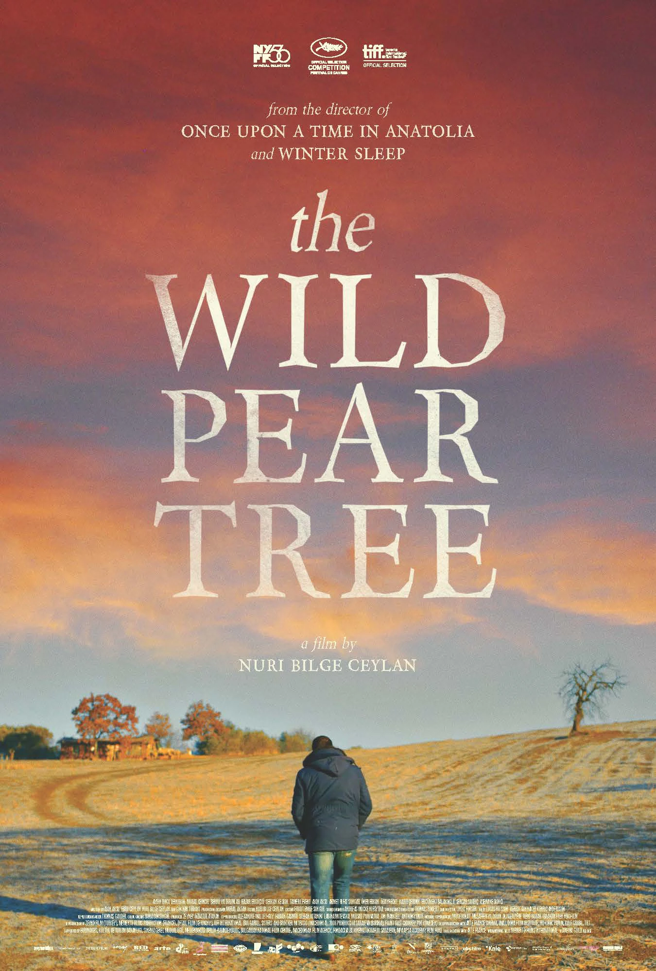 Xem phim Cây Lê Dại - The Wild Pear Tree