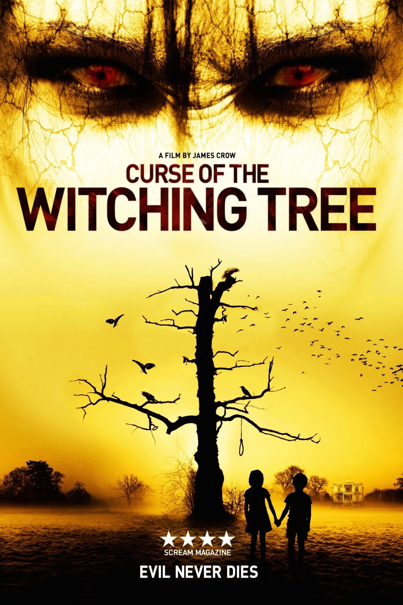 Xem phim Cây Phù Thủy - Curse of the Witching Tree
