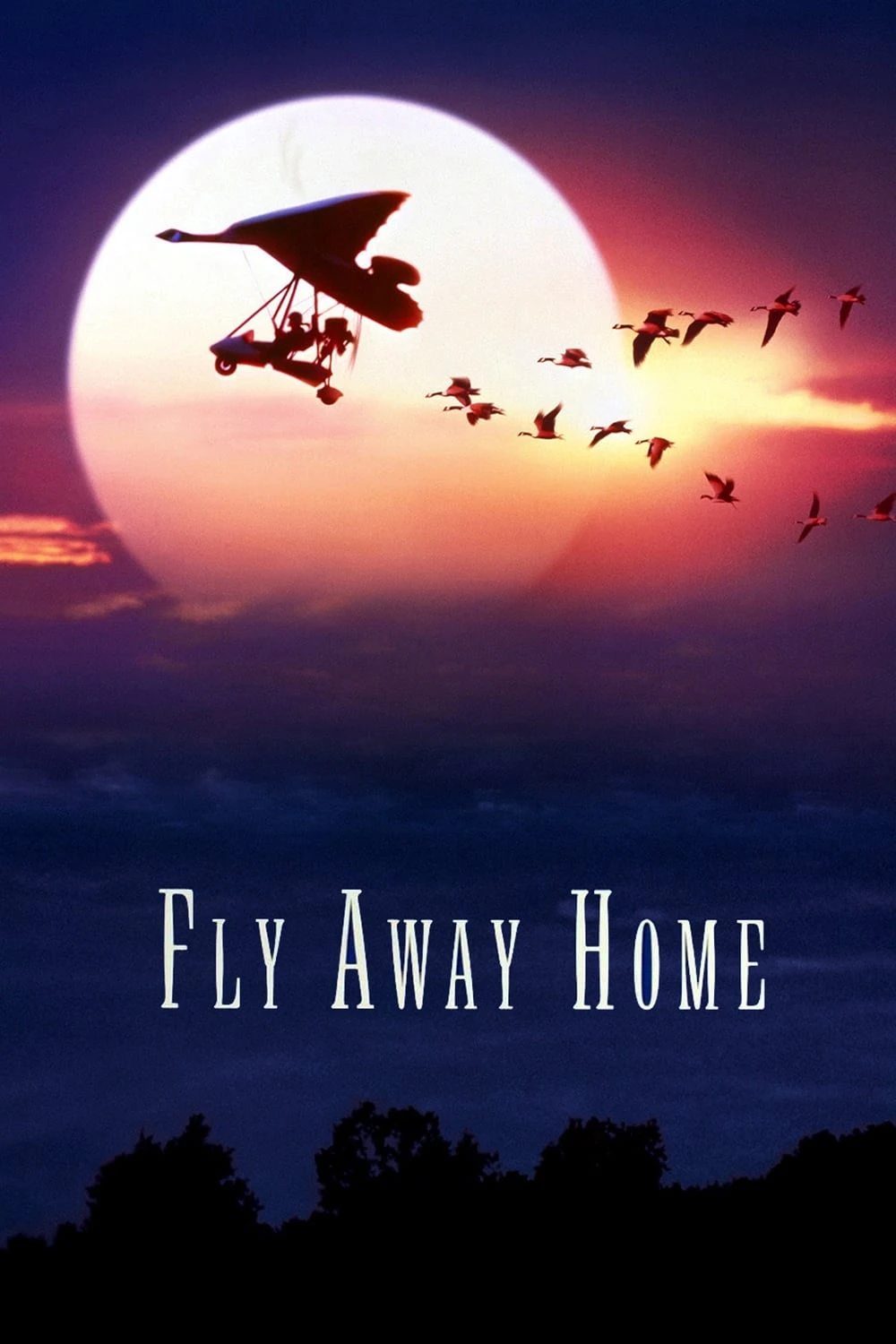 Xem phim Chắp Cánh Bay Xa - Fly Away Home