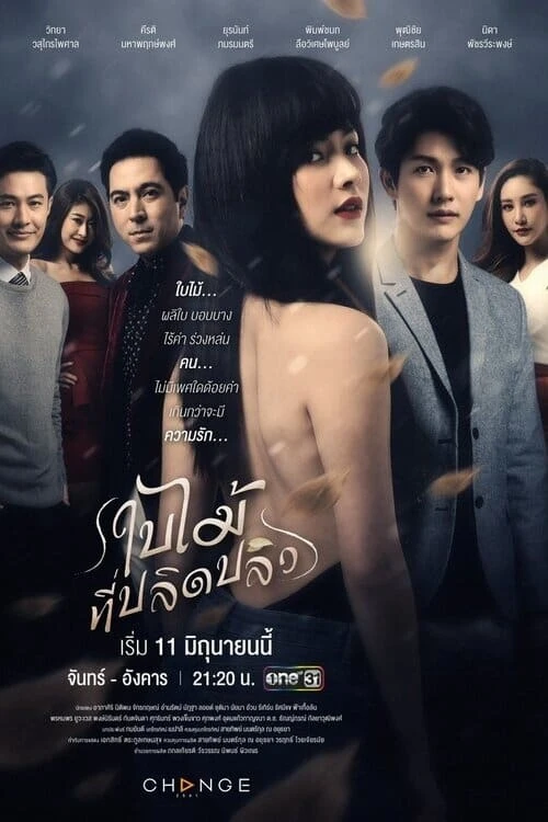 Xem phim Chiếc Lá Cuốn Bay - The Fallen Leaf