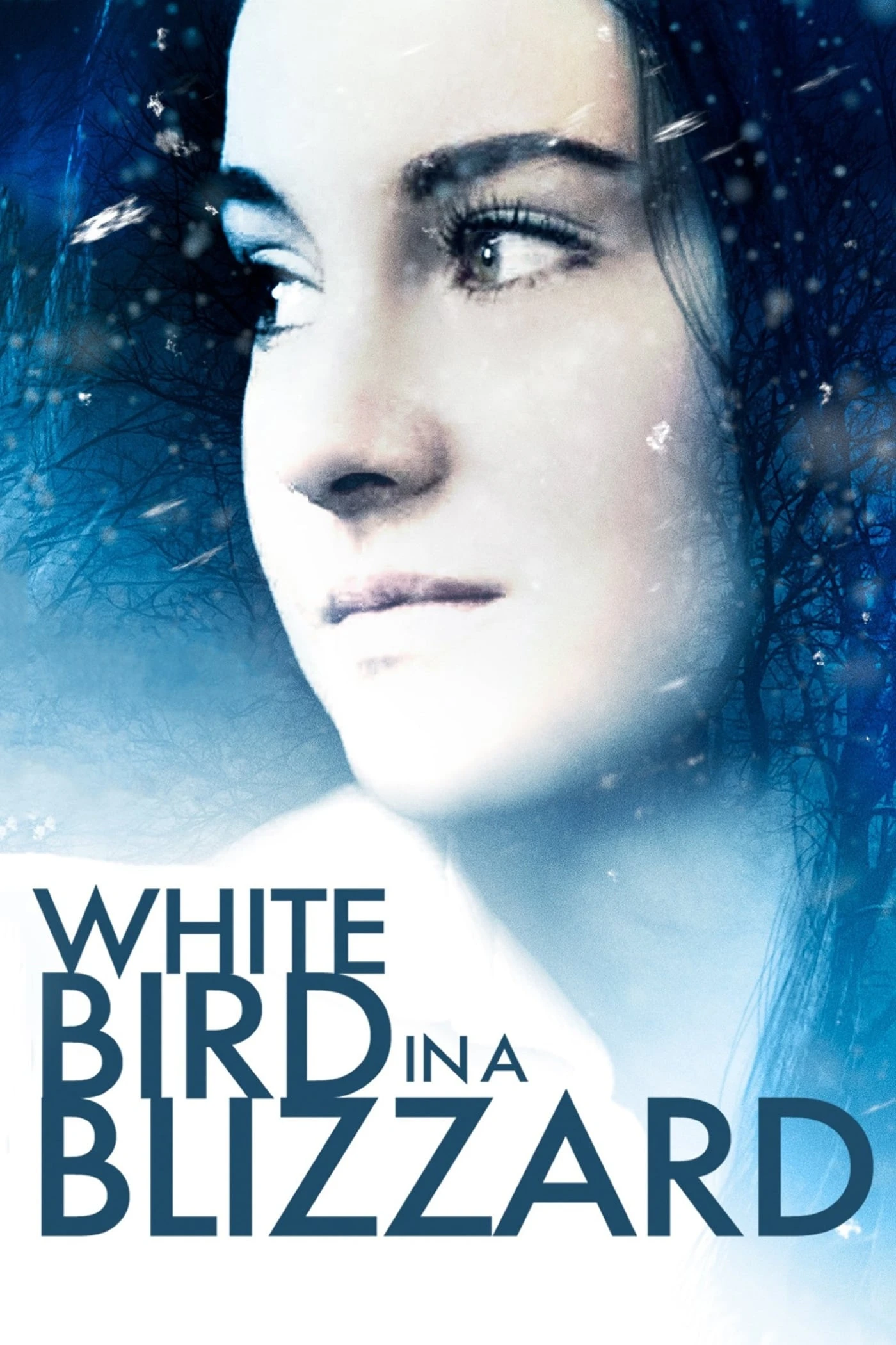 Xem phim Chim Trắng Giữa Bão Tuyết - White Bird in a Blizzard