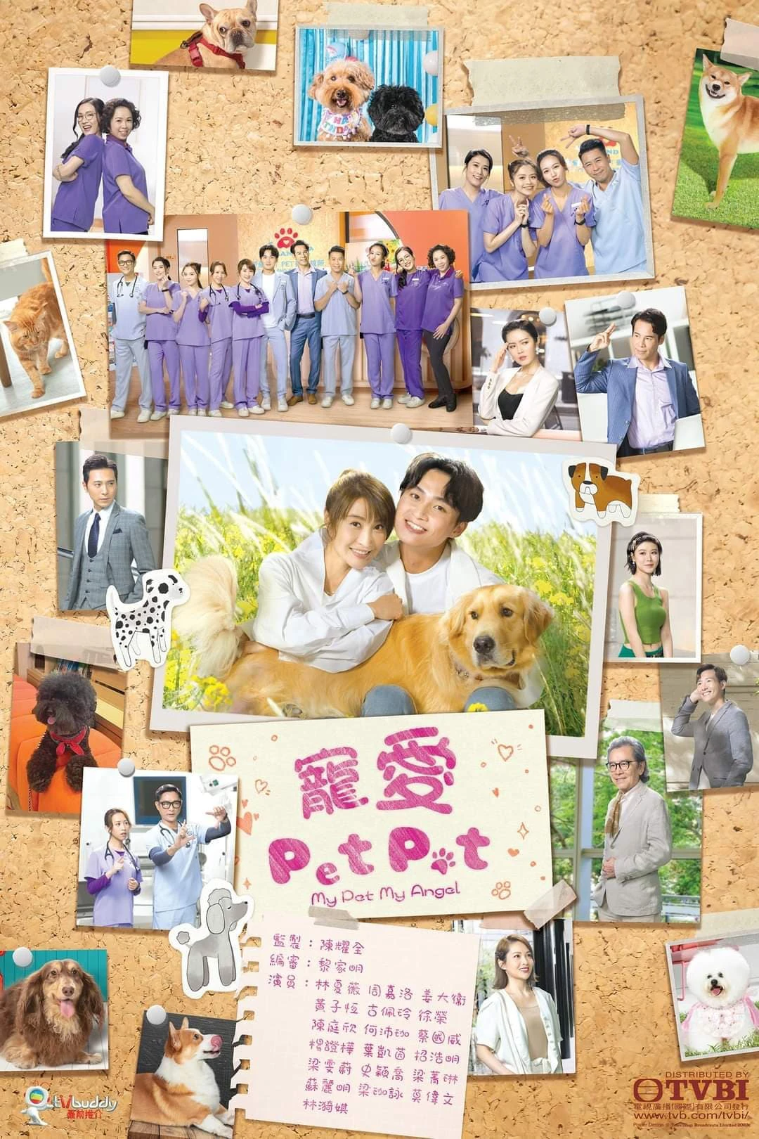 Xem phim Chó Cưng Của Tôi - My Pet My Angel