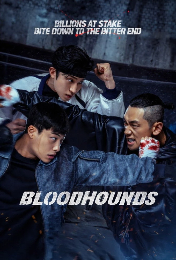 Xem phim Chó Săn Công Lý (Phần 2) - Bloodhounds (Season 2)