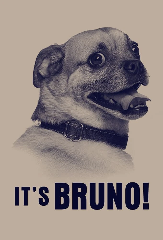 Xem phim Chú chó Bruno - It's Bruno!