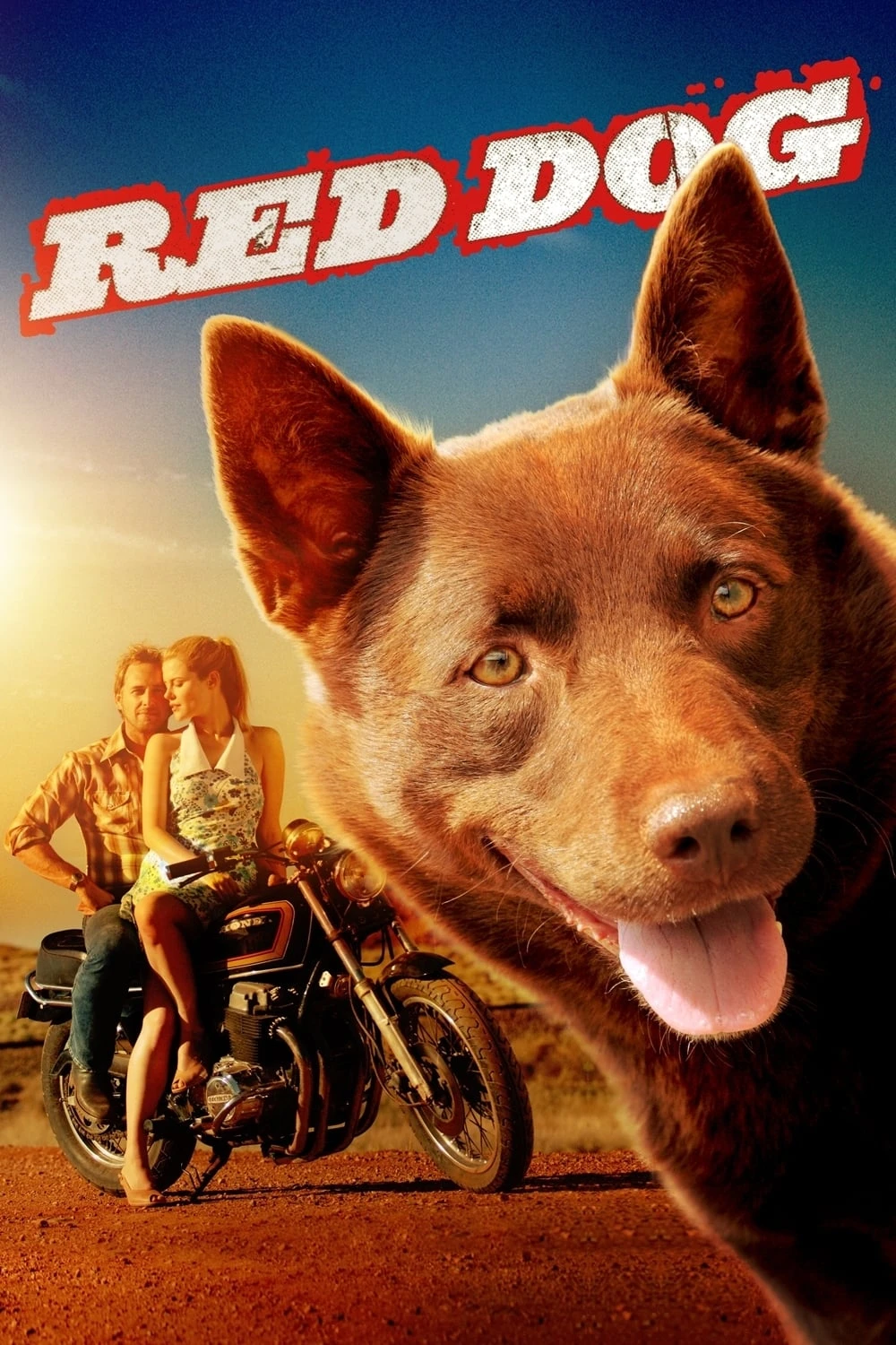 Xem phim Chú Chó Đỏ - Red Dog