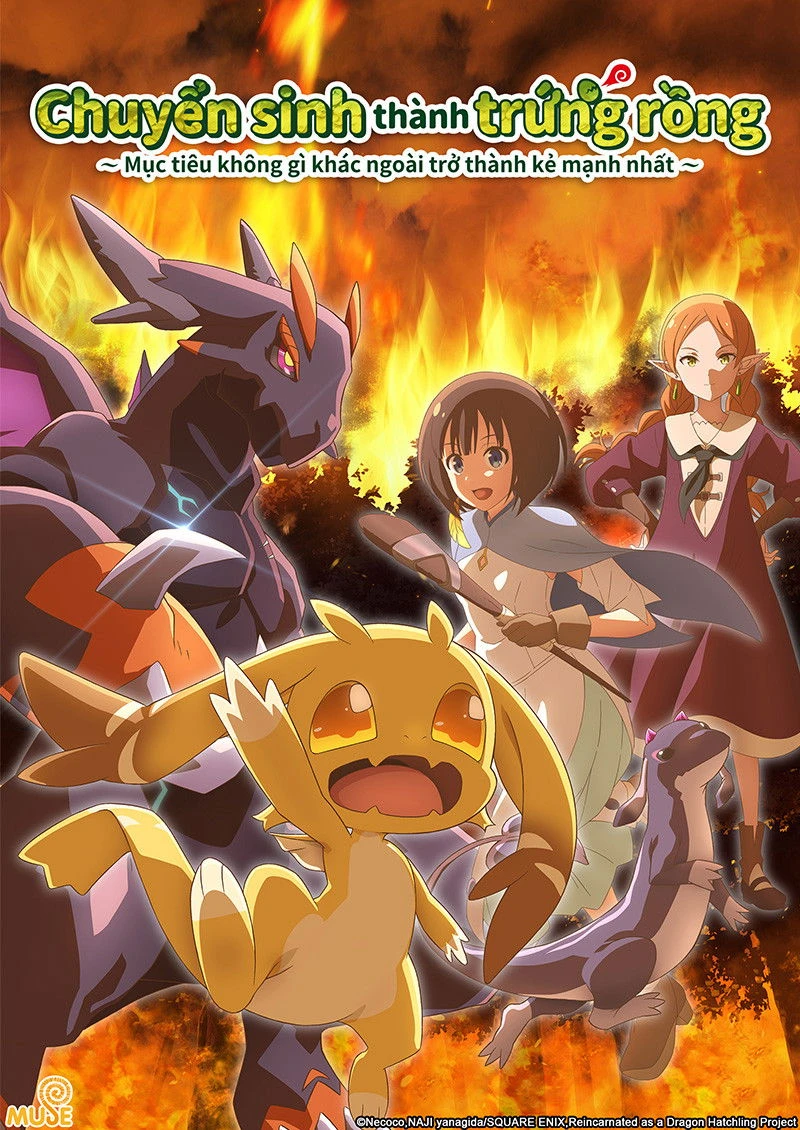 Xem phim Chuyển Sinh Thành Trứng Rồng – Mục Tiêu Không Gì Khác Ngoài Trở Thành Kẻ Mạnh Nhất (Tensei shitara Dragon no Tamago datta) - Reincarnated As A Dragon Hatchling