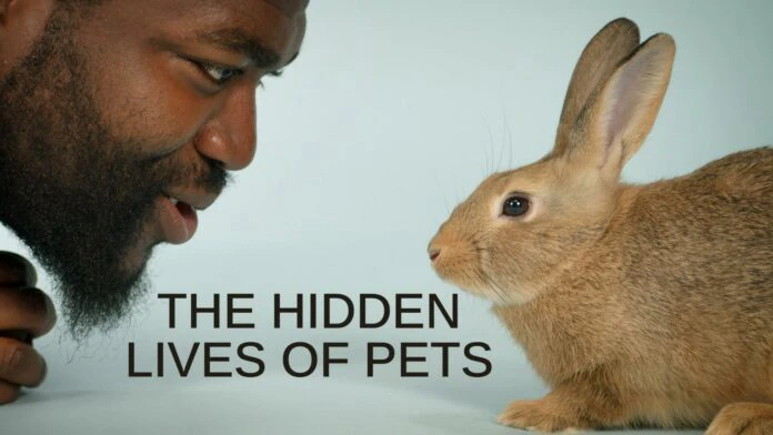 Xem phim Cuộc Sống Bí Mật Của Thú Cưng - The Hidden Lives Of Pets