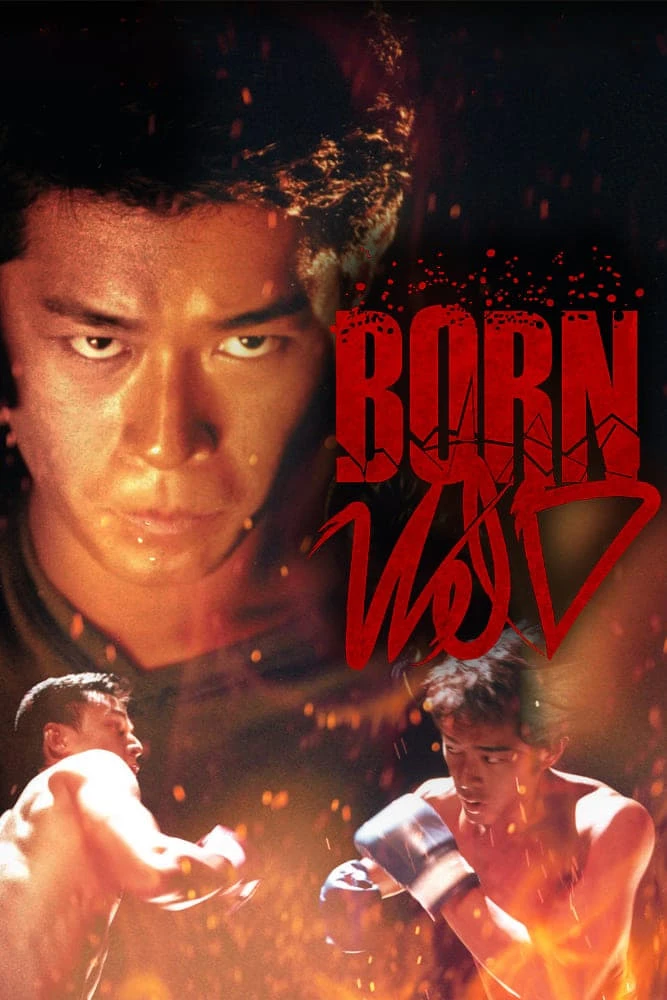 Xem phim Dã Chiến Giang Hồ - Born Wild