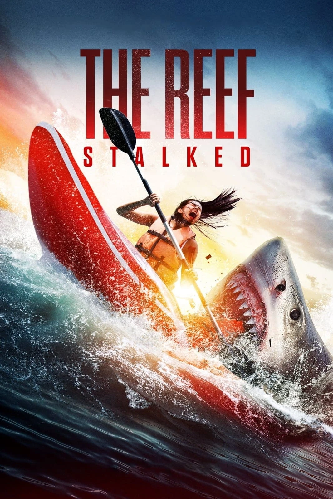 Xem phim Đá Ngầm: Kẻ Theo Dõi - The Reef: Stalked