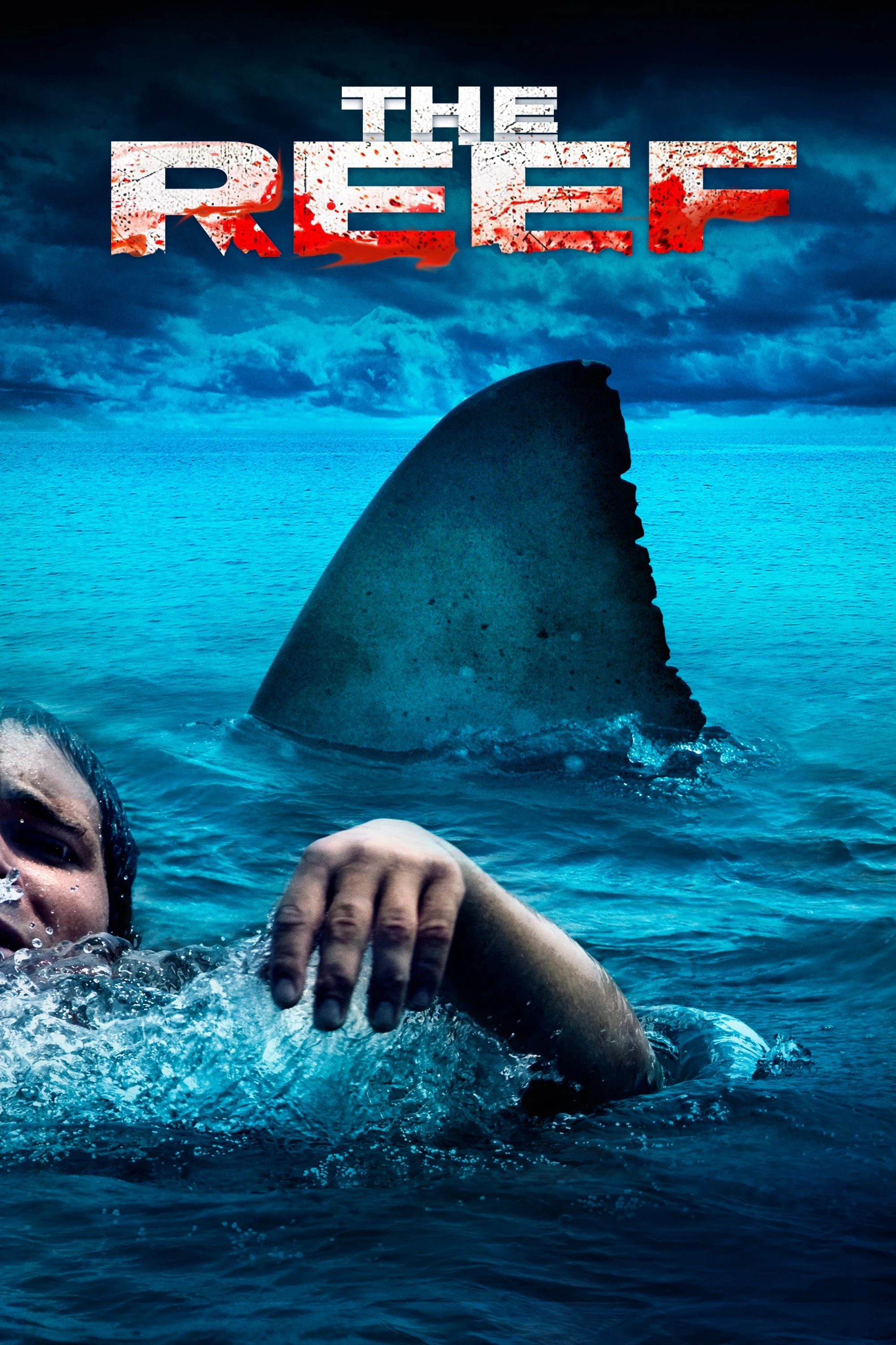 Xem phim Đá Ngầm - The Reef
