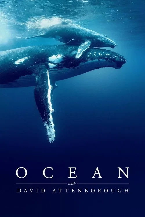 Xem phim Đại dương cùng David Attenborough - Ocean with David Attenborough
