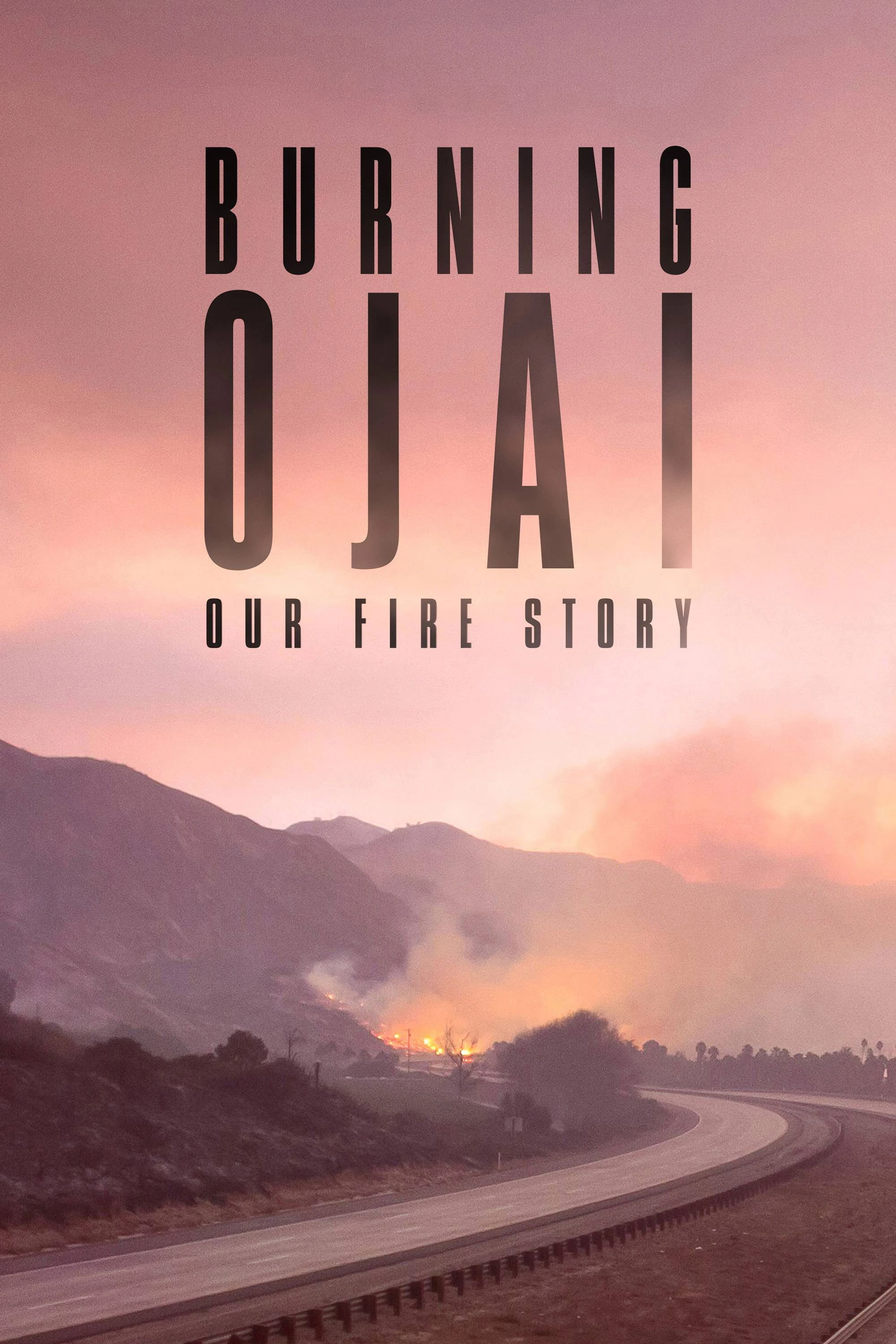 Xem phim Đám Cháy Ở Thung Lũng Ojai - Burning Ojai: Our Fire Story