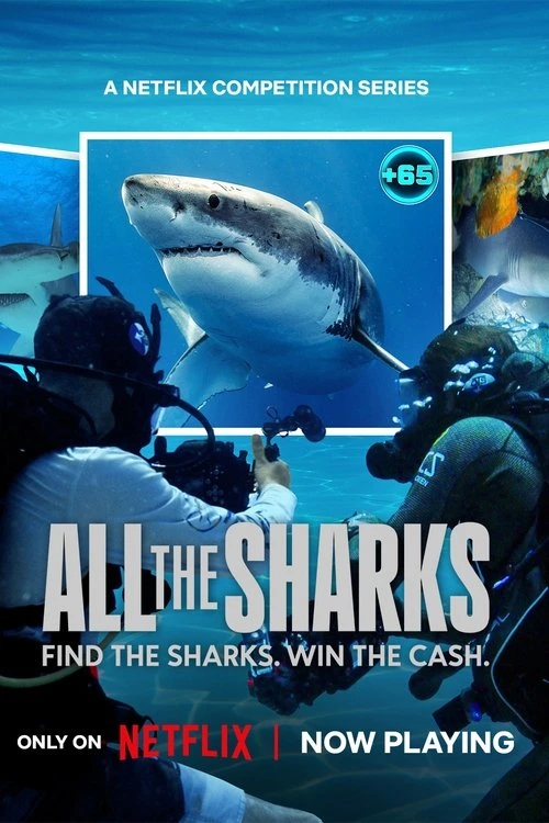 Xem phim Đi Tìm Cá Mập - All The Sharks