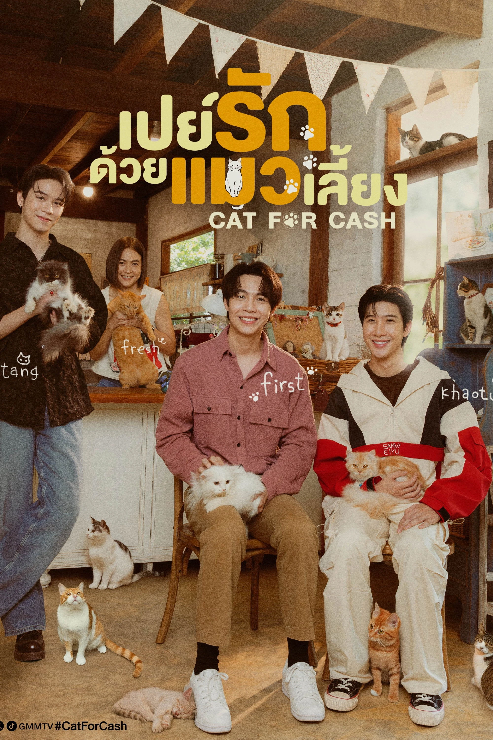 Xem phim Đổi Tình Lấy Mèo - Cat For Cash