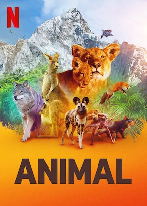 Xem phim Động Vật (Phần 1) - Animal (Season 1)