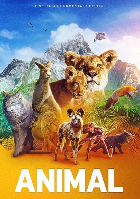 Xem phim Động Vật (Phần 2) - Animal (Season 2)