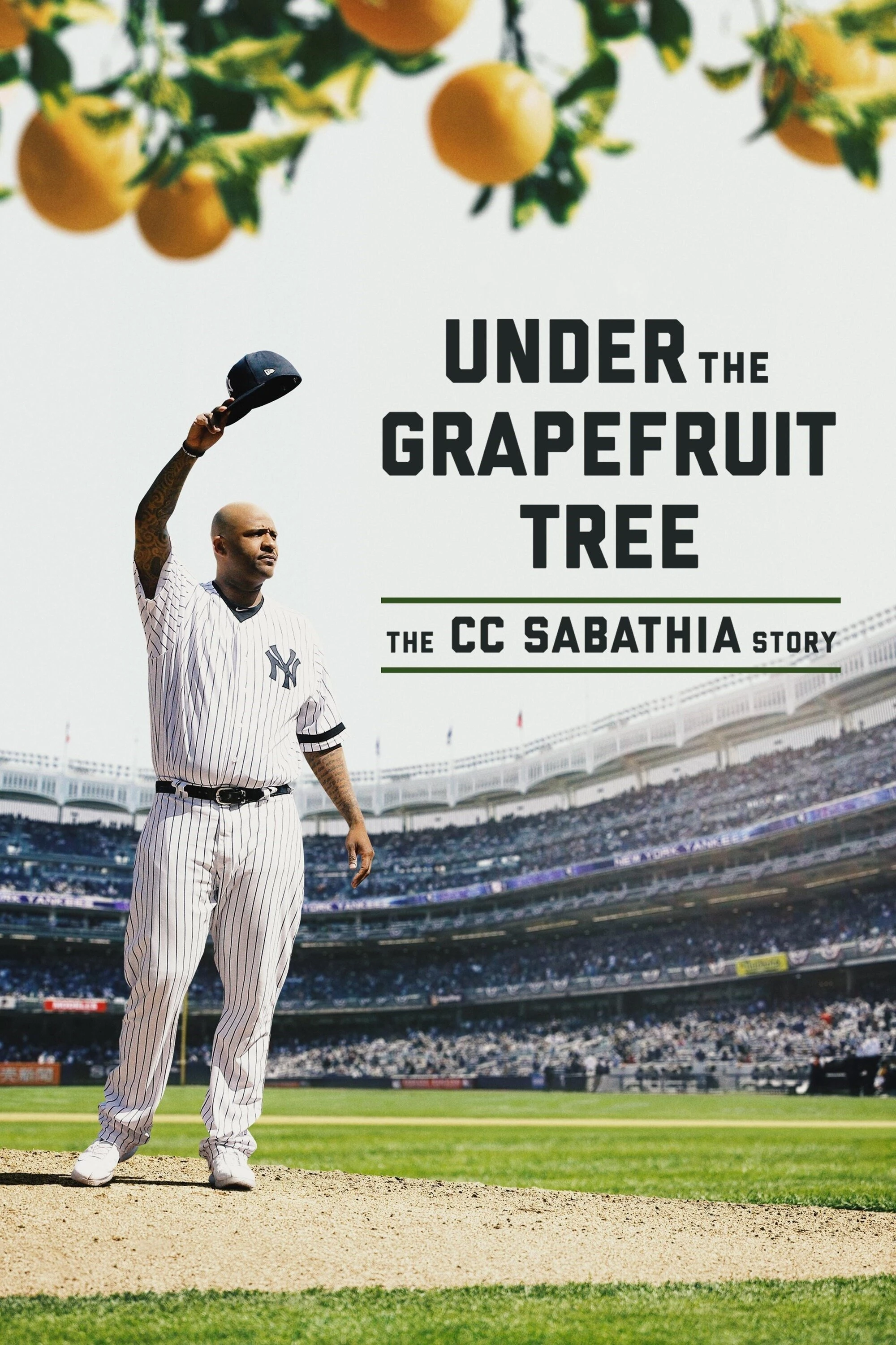 Xem phim Dưới Bóng Cây Bưởi: Câu Chuyện Của Cc Sabathia - Under the Grapefruit Tree: The CC Sabathia Story