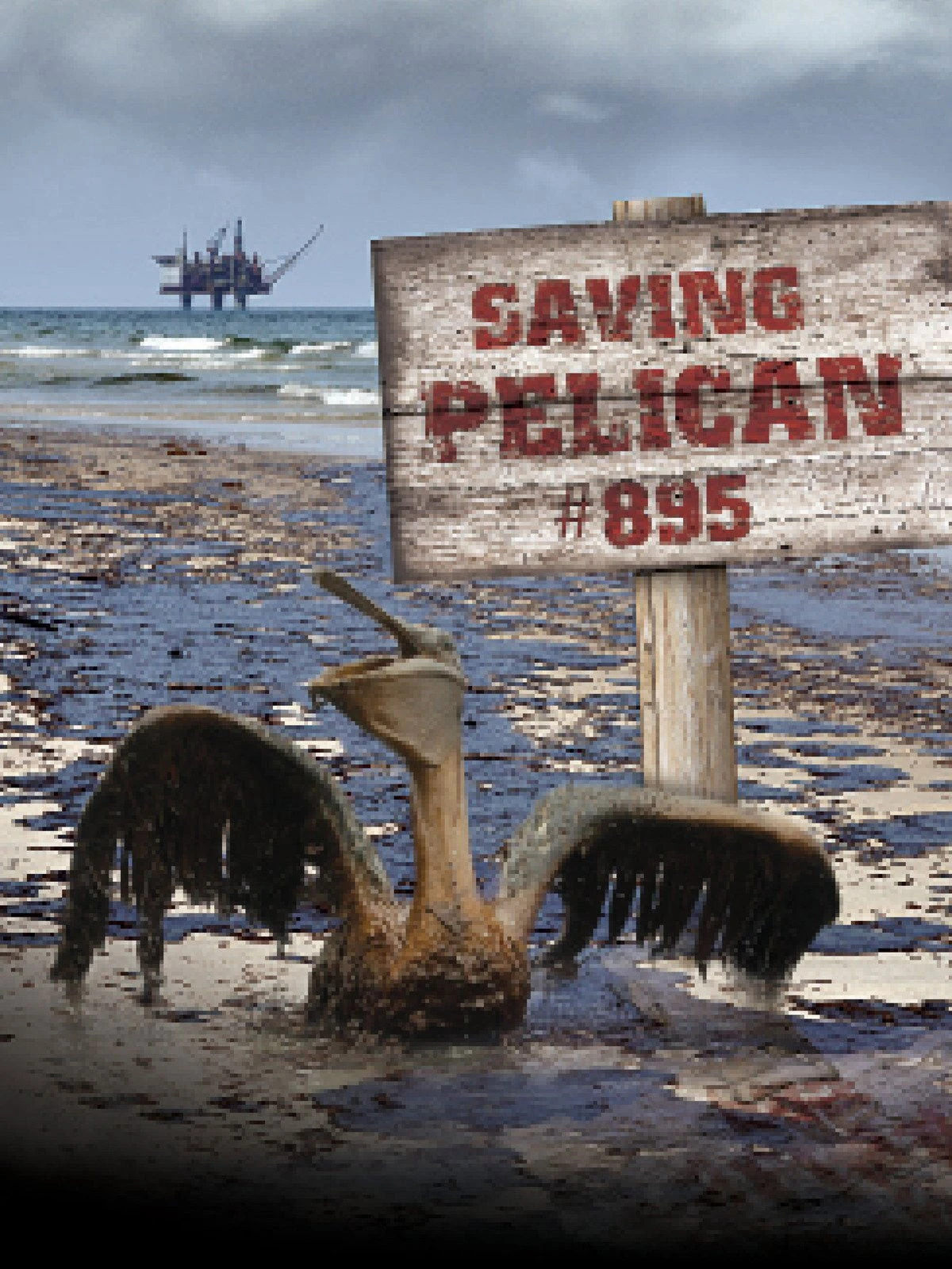 Xem phim Giải Cứu Chú Bồ Nông Thứ 895 - Saving Pelican 895