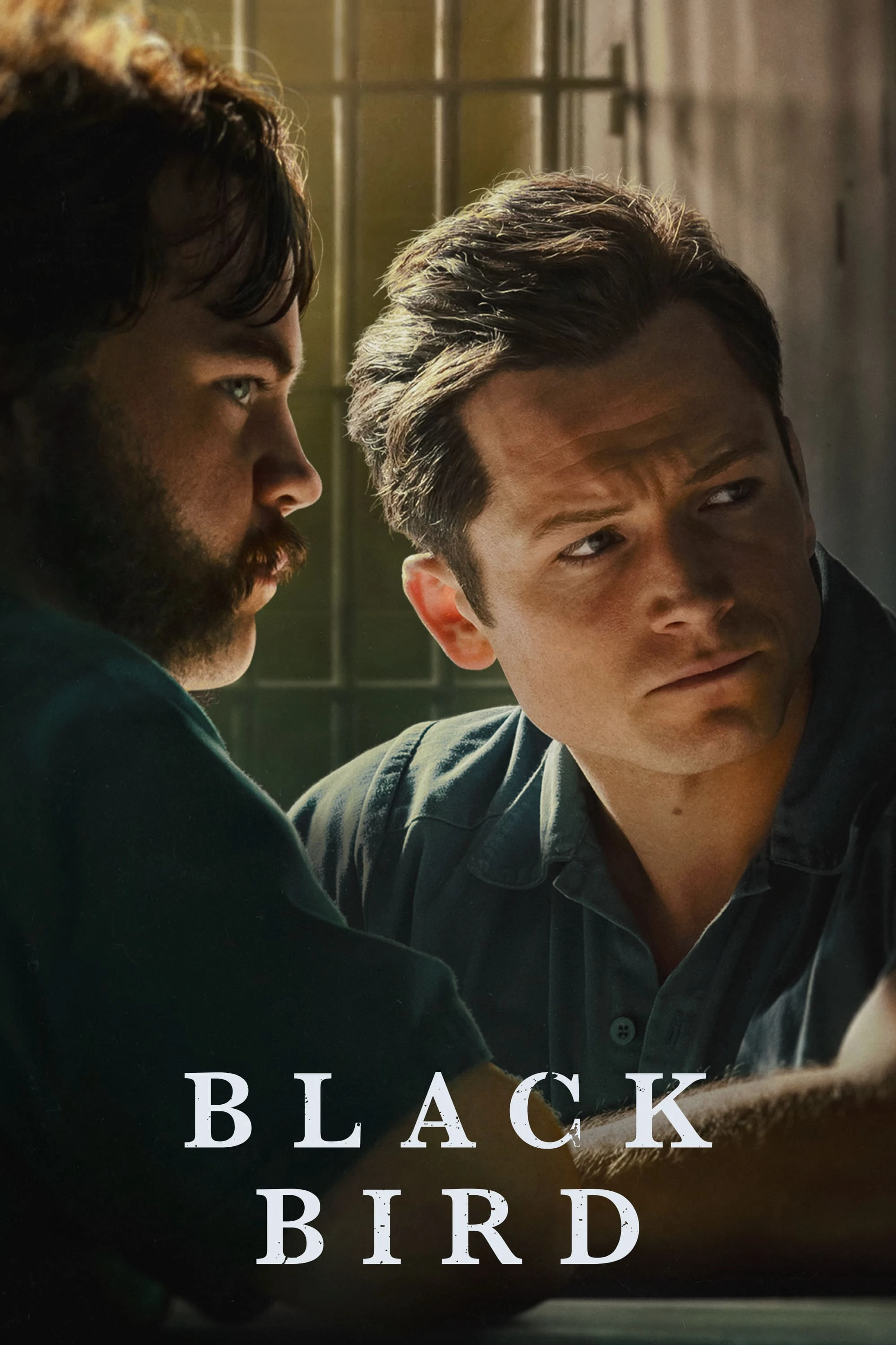 Xem phim Hắc Điểu (Phần 1) - Black Bird (Season 1)