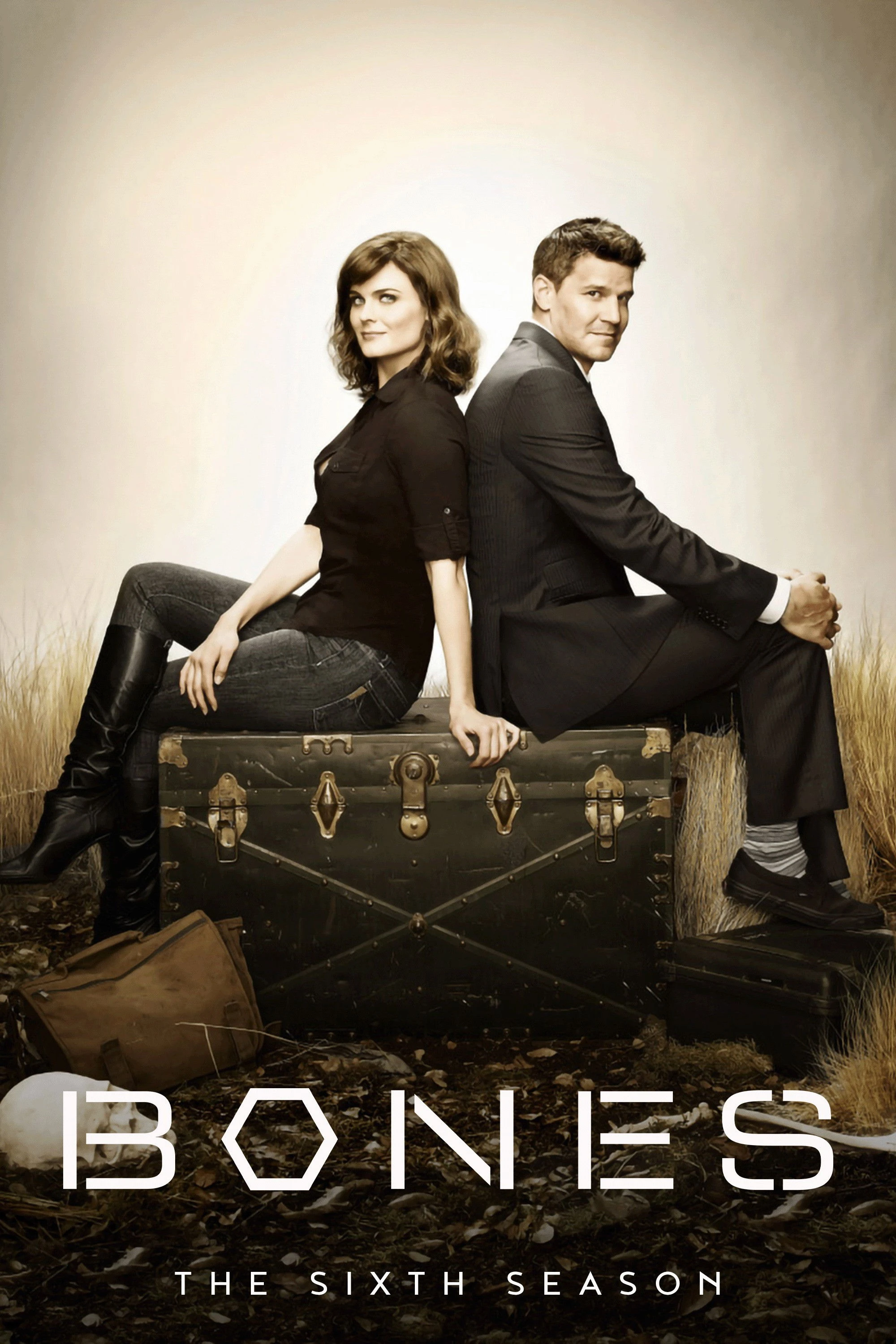 Xem phim Hài Cốt (Phần 6) - Bones (Season 6)