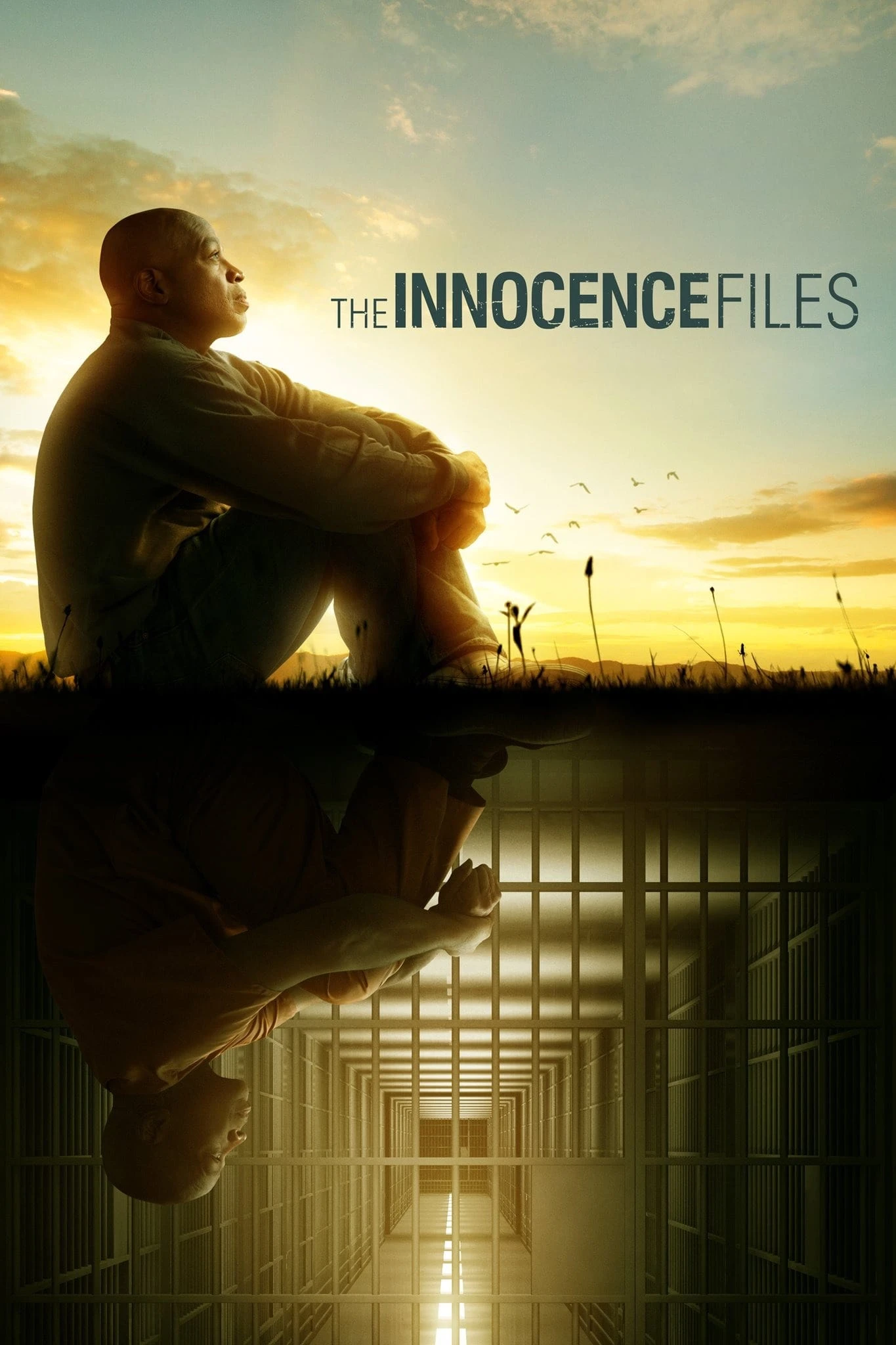Xem phim Hồ sơ vô tội - The Innocence Files