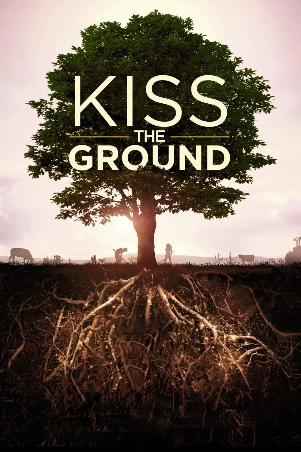 Xem phim Hôn Lên Mạch Đất - Kiss the Ground