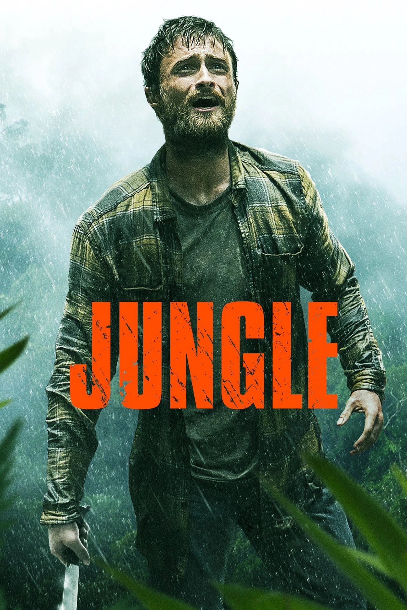 Xem phim Jungle - Jungle