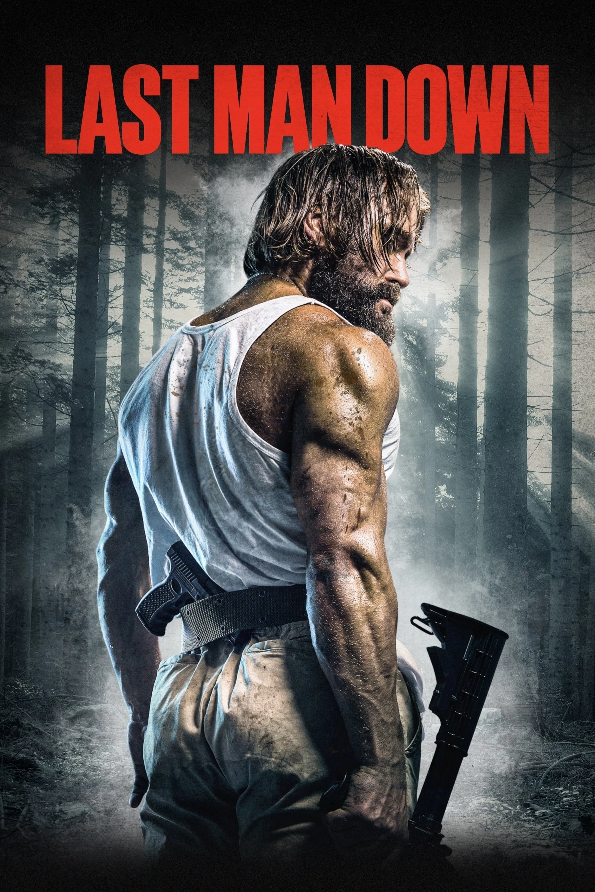 Xem phim Kẻ Báo Thù Cuối Cùng - Last Man Down