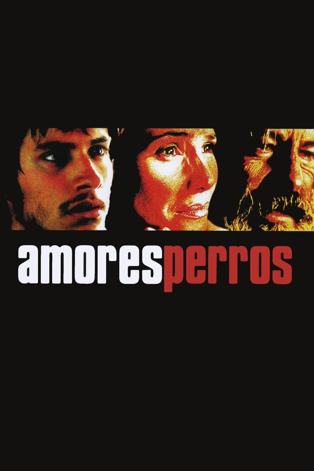 Xem phim Kẻ Vô Đạo - Amores perros