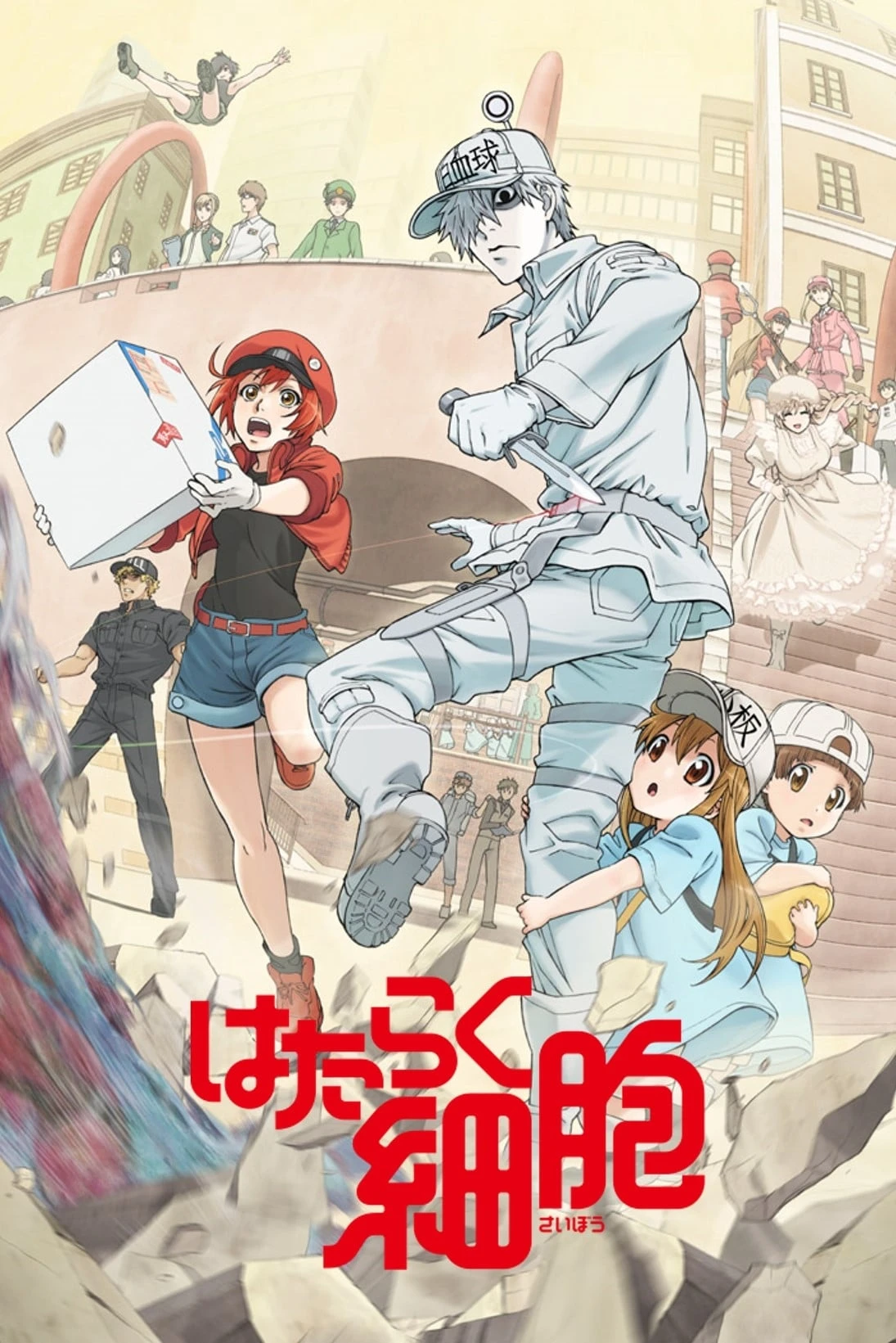 Xem phim Khi Các Tế Bào Làm Việc (Phần 2) - Cells at Work! (Season 2)