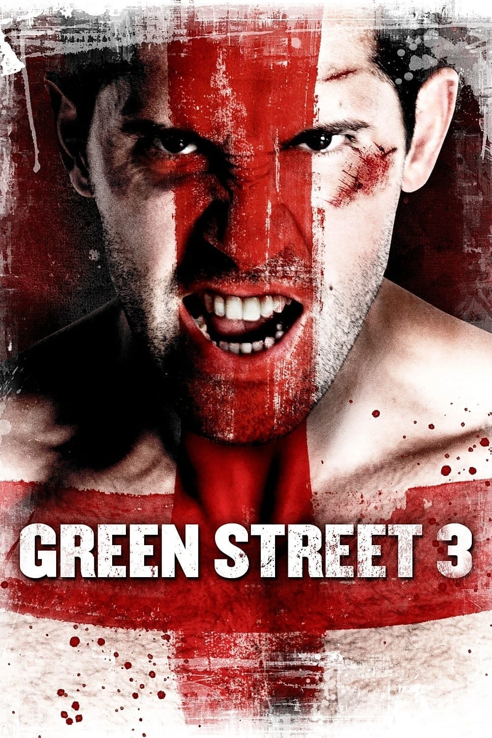 Xem phim Không Chùn Bước 3 - Green Street 3: Never Back Down