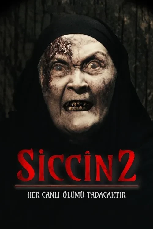 Xem phim Lời Nguyền Sijjin 2 - Sijjin 2