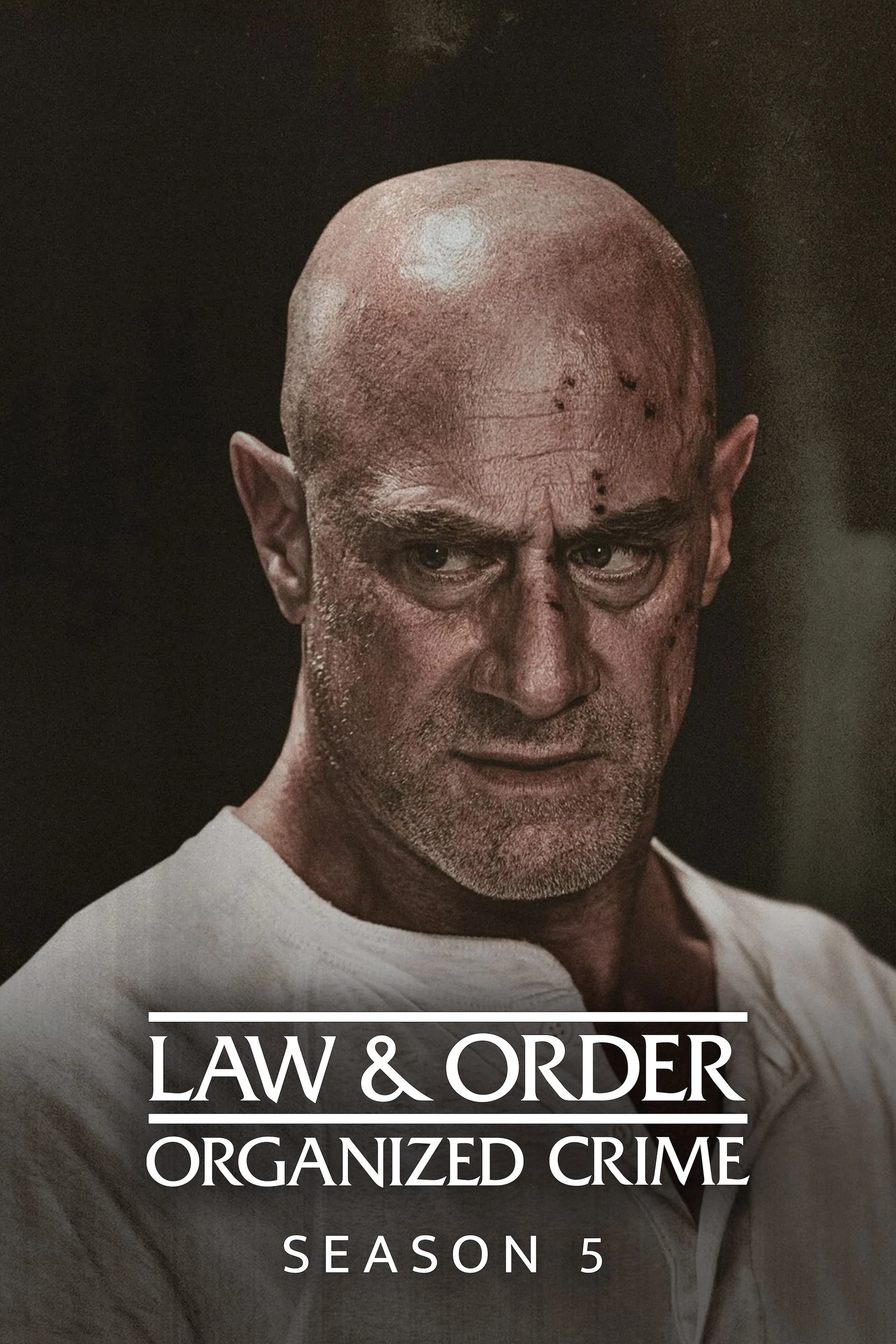 Xem phim Luật Pháp Và Trật Tự: Tội Phạm Có Tổ Chức (Phần 5) - Law & Order: Organized Crime (Season 5)