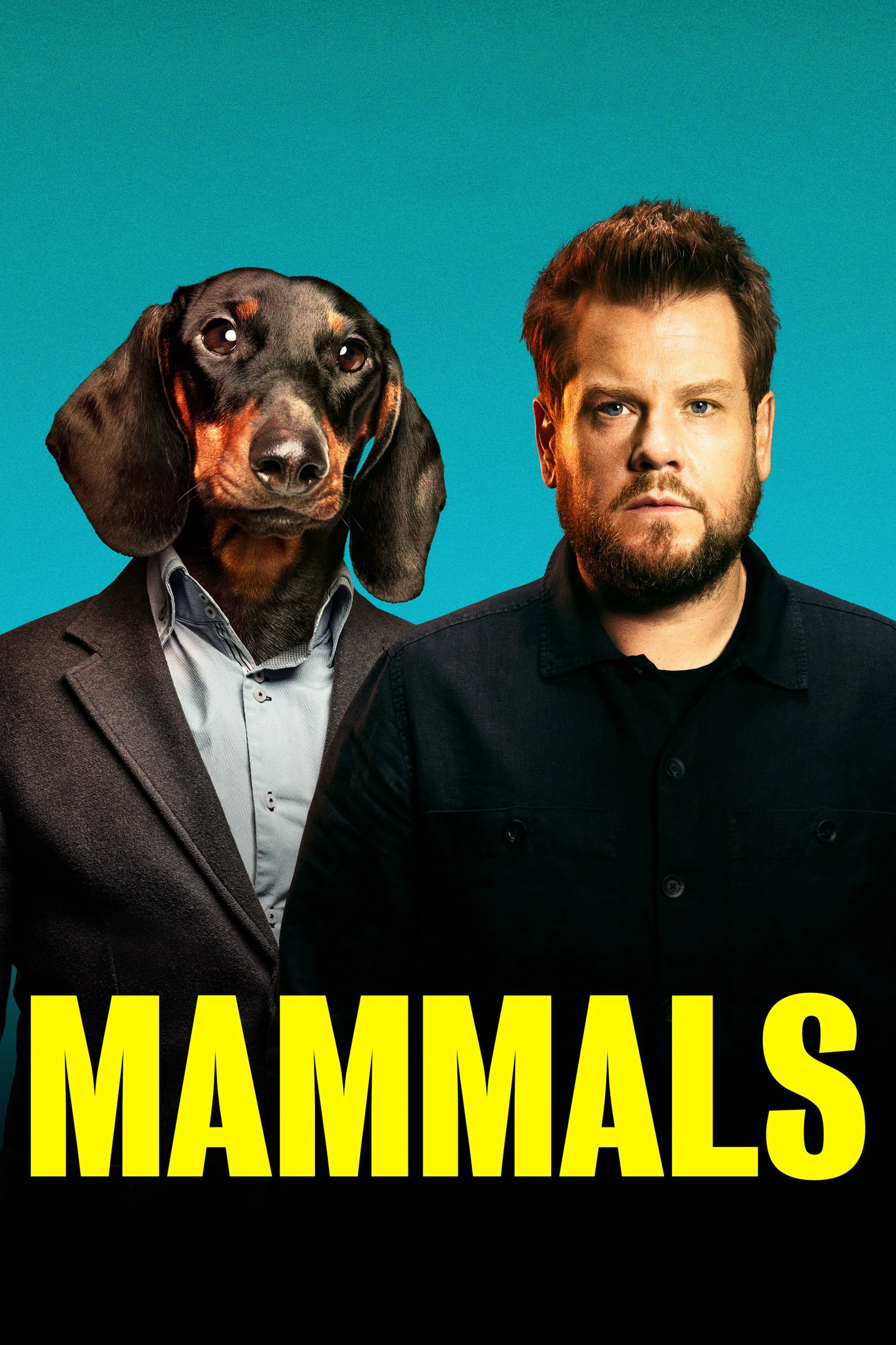 Xem phim Mammals - Mammals