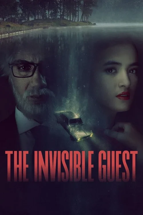 Xem phim Man Thiên Quá Hải - The Invisible Guest