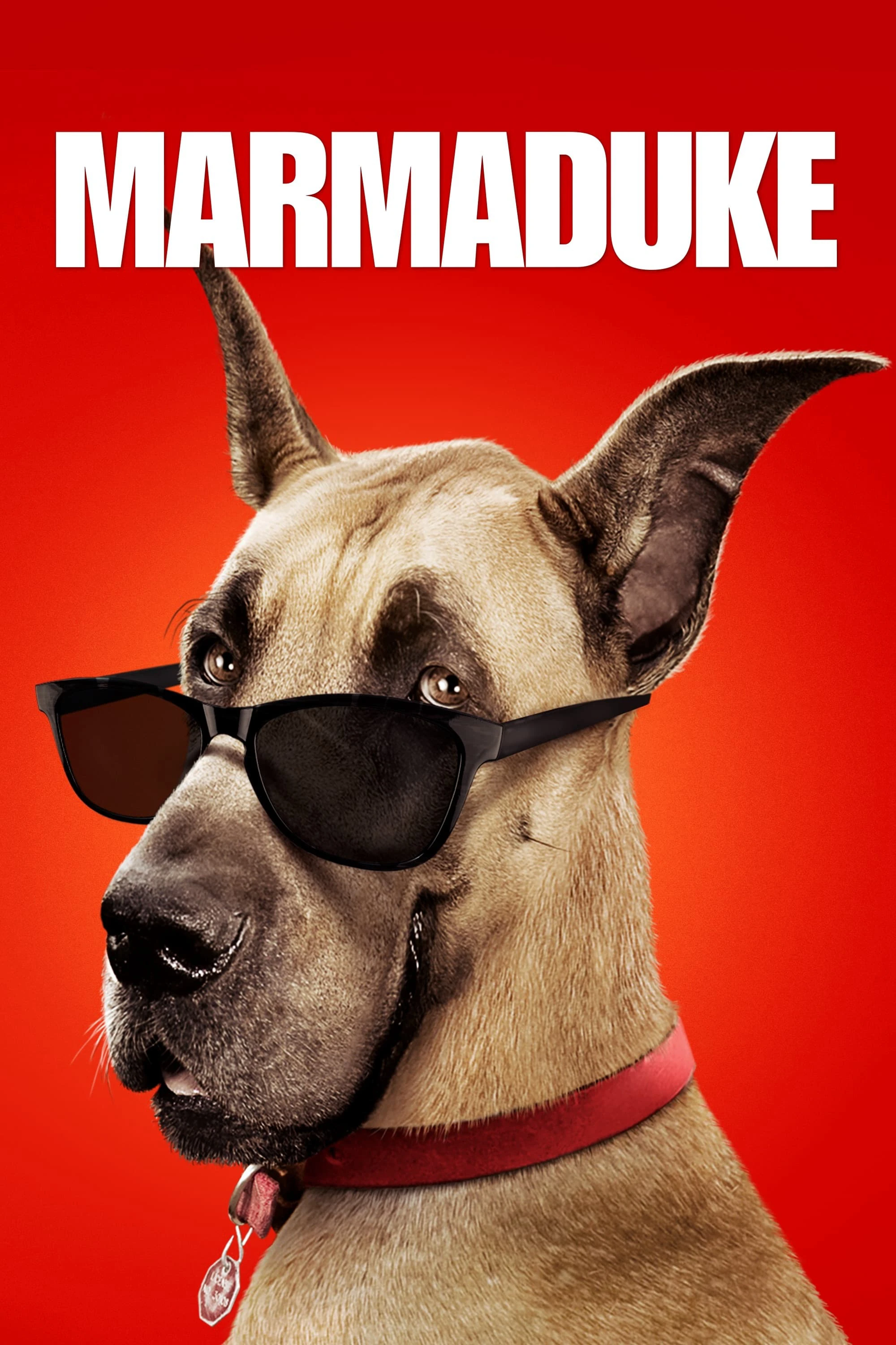 Xem phim Marmaduke: Khuấy Động Mùa Hè - Marmaduke