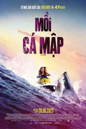 Xem phim Mồi Cá Mập - Shark Bait