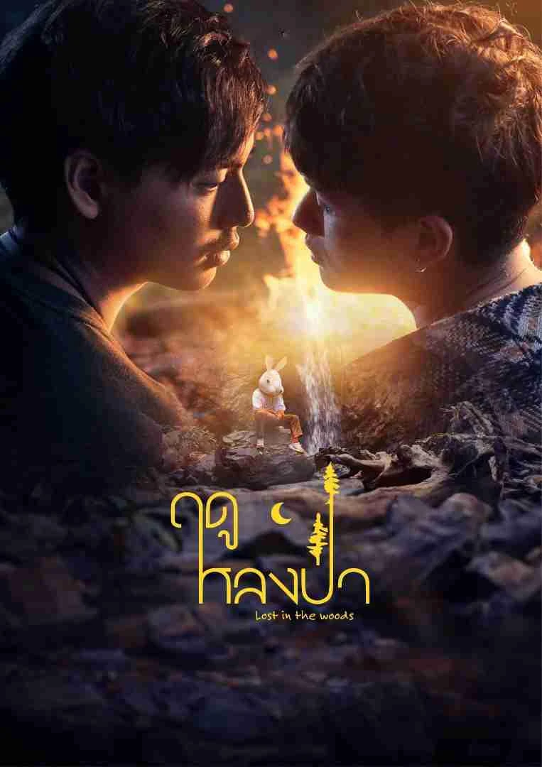 Xem phim Mùa Lạc Trong Rừng - Lost In The Woods