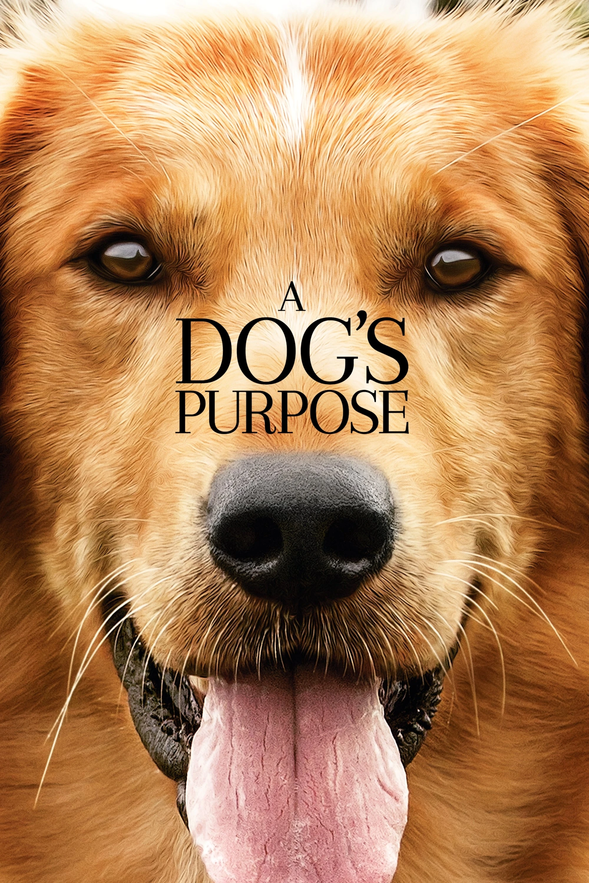 Xem phim Mục Đích Sống Của Một Chú Chó - A Dog's Purpose