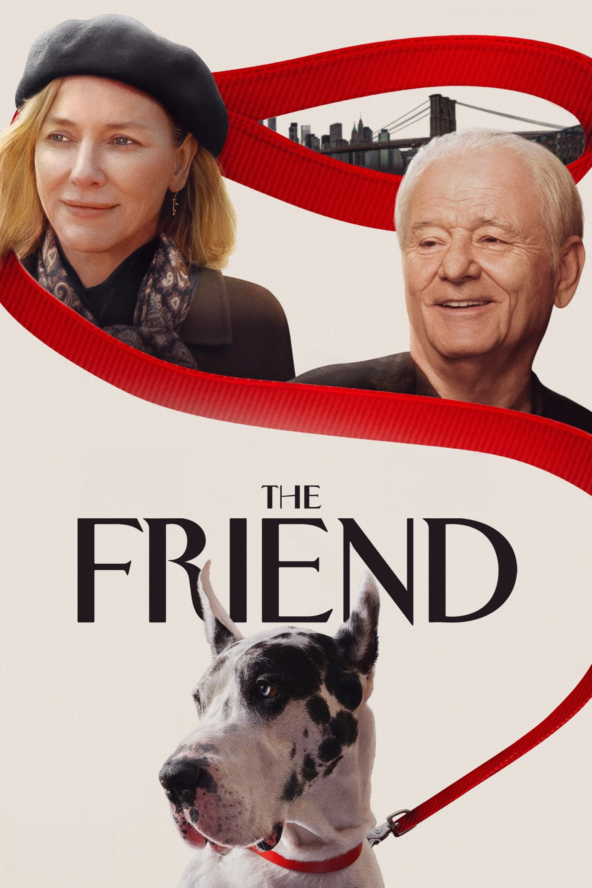 Xem phim Người Bạn - The Friend