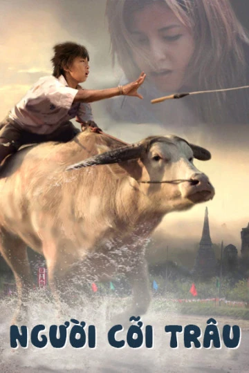 Xem phim Người Cỡi Trâu - Buffalo Rider